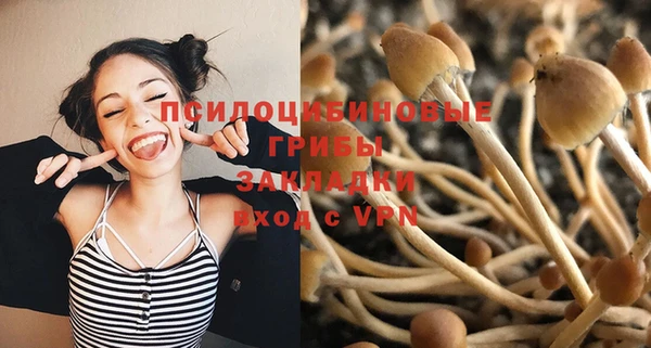 винт Баксан