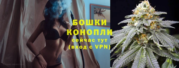 скорость Липки