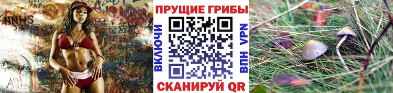 KRAKEN маркетплейс Бирск Псилоцибиновые грибы Psilocybine cubensis
